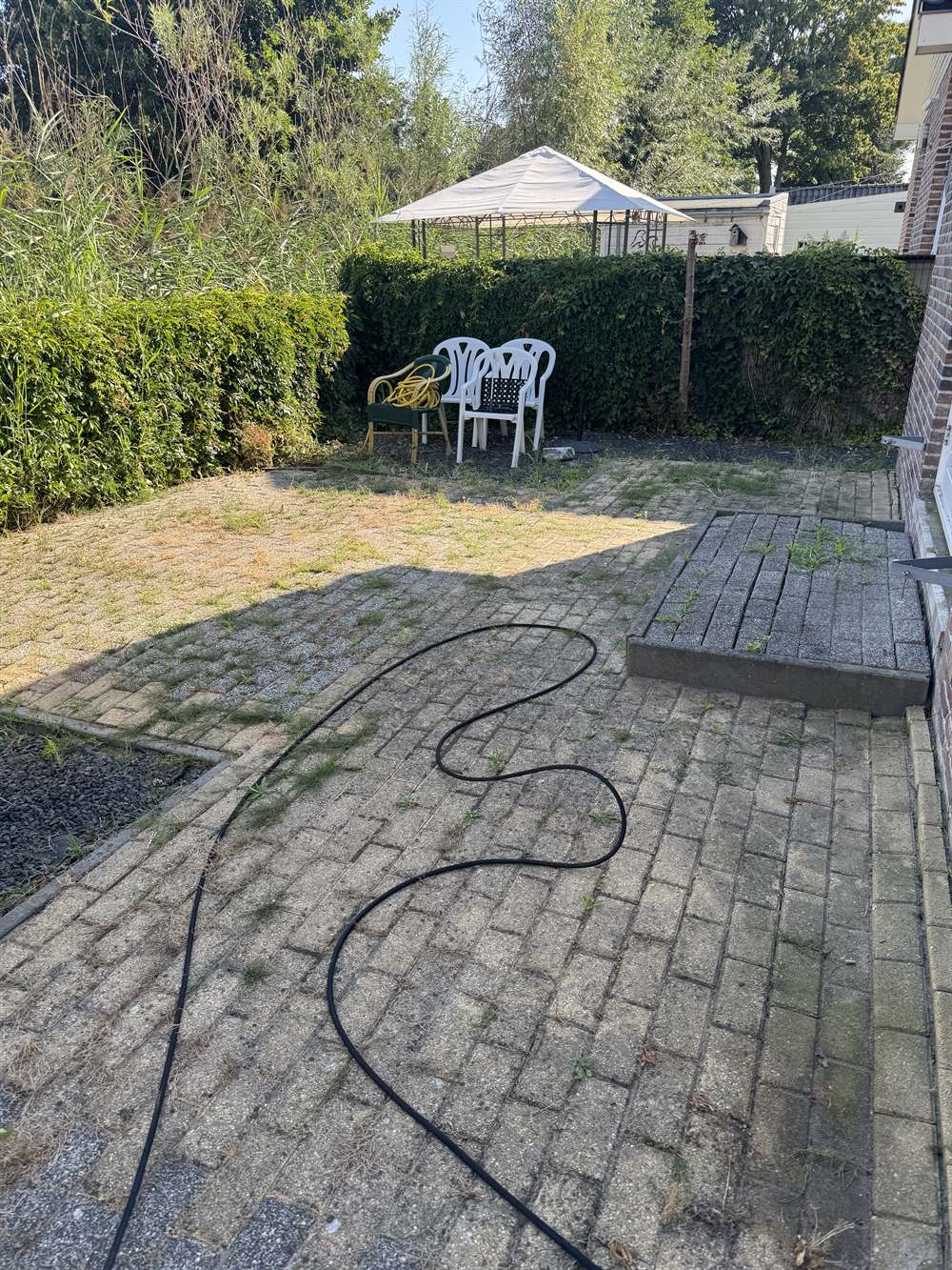 Terras in de achtertuin vóór reiniging — vergrijsde tegels met mos