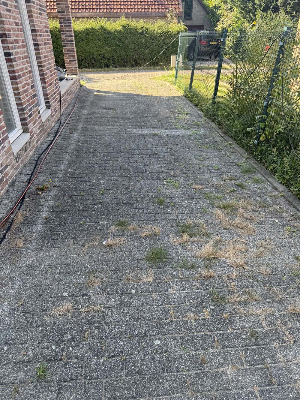 Oprit vóór reiniging — onkruid en mos tussen de klinkers