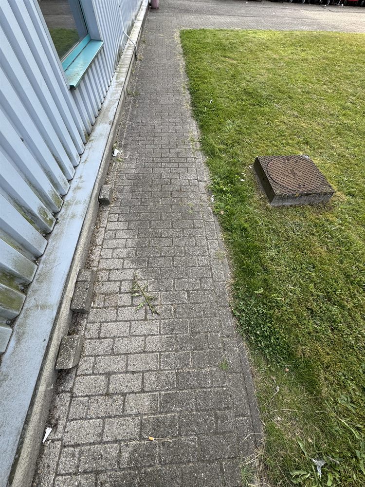 Looppad vóór reiniging — vergroend en vervuild
